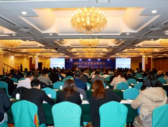 提升資源保障程度，增強產(chǎn)業(yè)競爭能力——螢石產(chǎn)業(yè)發(fā)展高峰論壇在京召開